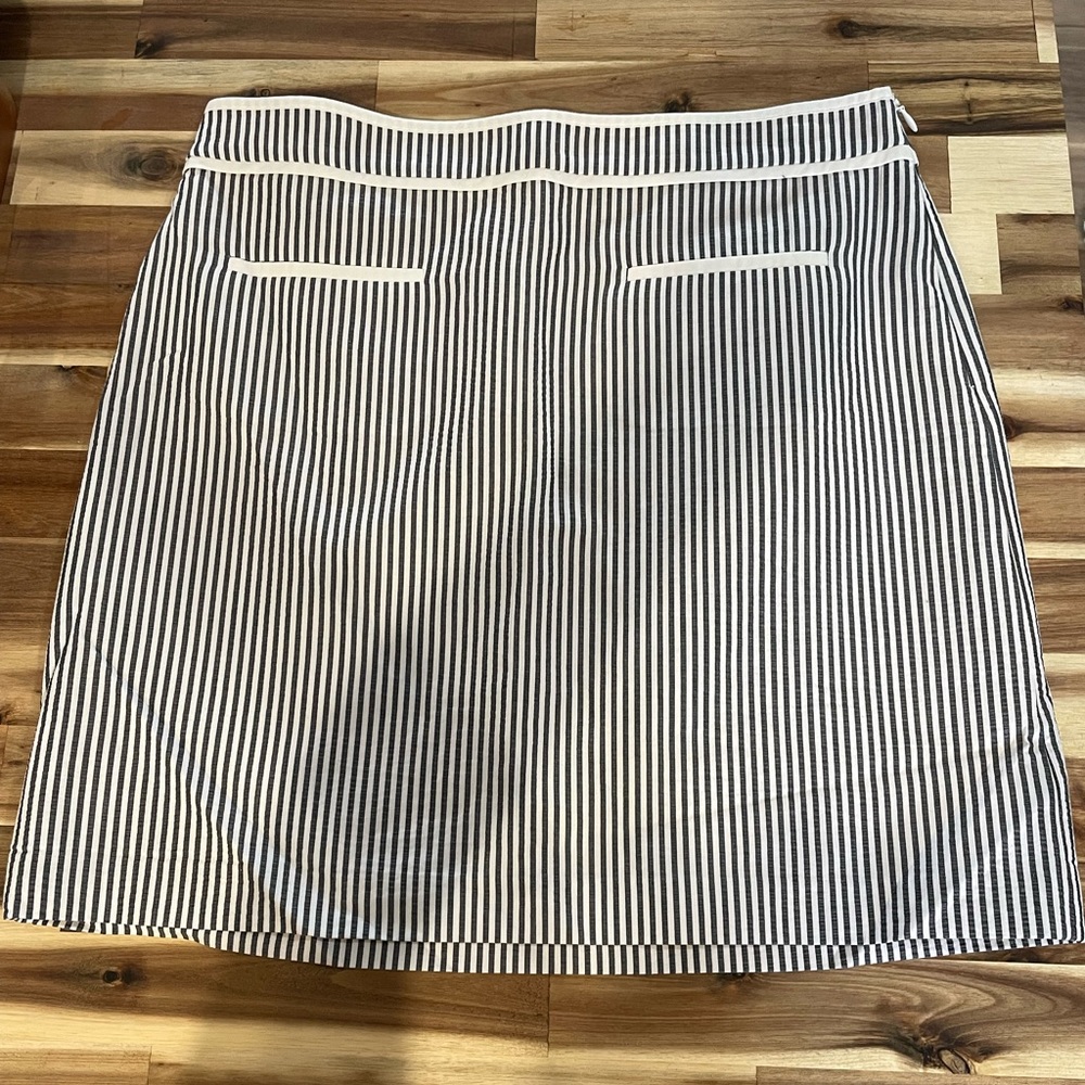 Talbots Skirt